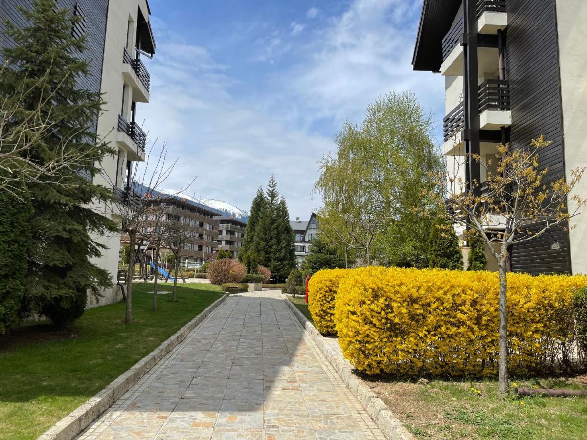 Pirin Dream View Apartment Razlog Exterior foto